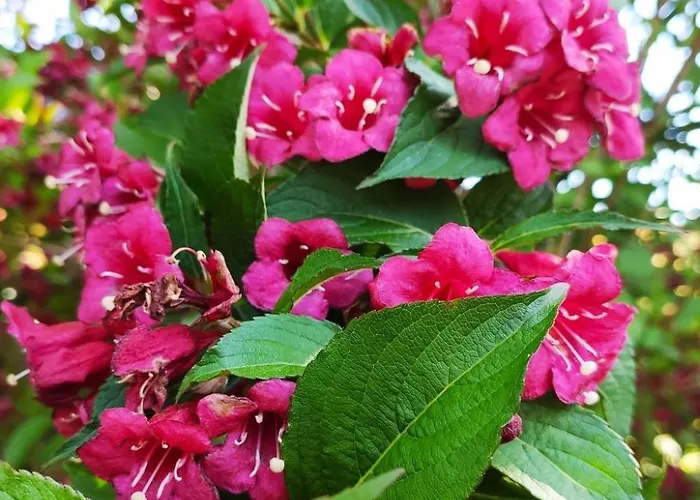 בית נופש Fachwerkhaus La Longere Escapade Normande By Interhome