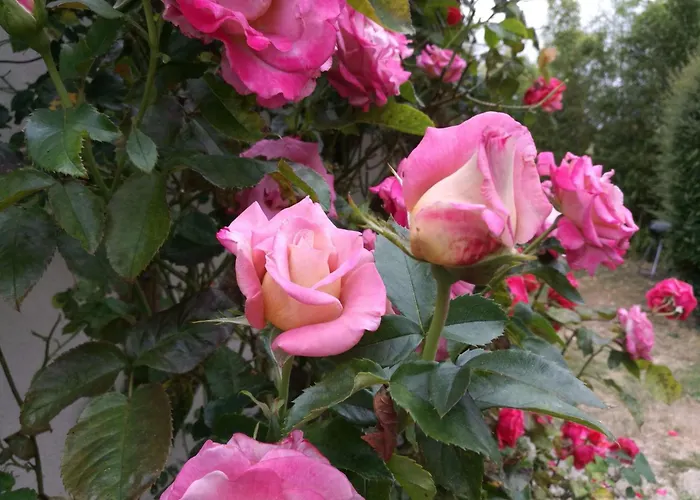 Fachwerkhaus La Longere Escapade Normande By Interhome אוברוויל