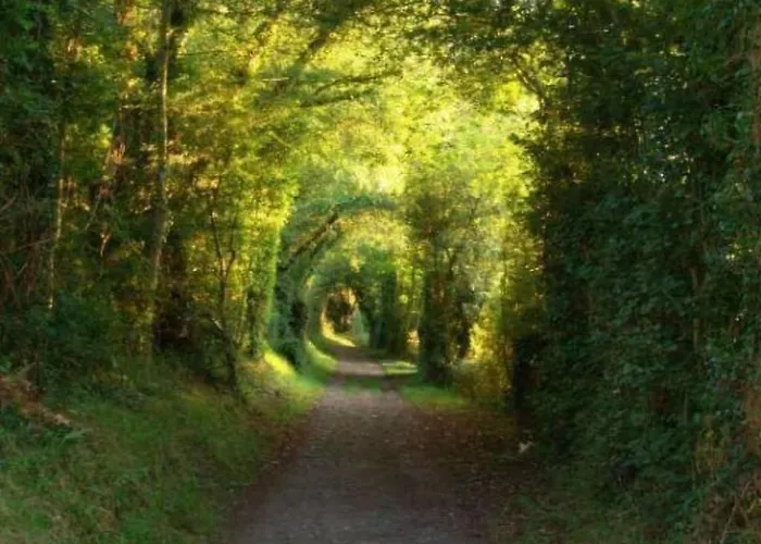 Fachwerkhaus La Longere Escapade Normande By Interhome Vakantiehuis Auberville